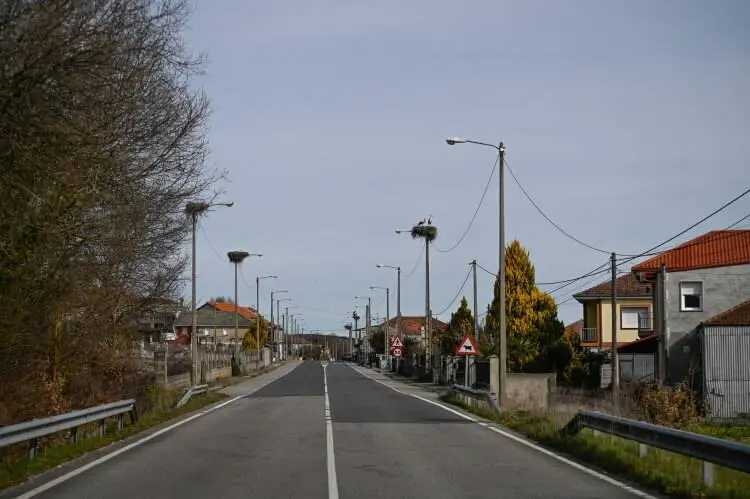 Cego&ntilde;as Laro&aacute; (11)