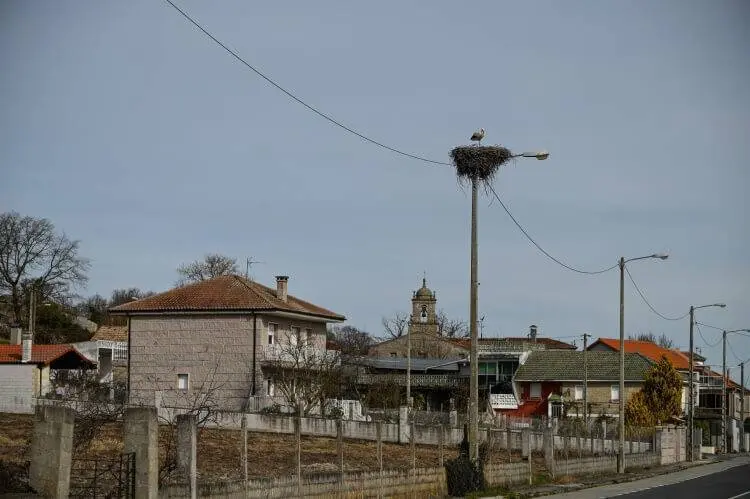 Cego&ntilde;as Laro&aacute; (16)