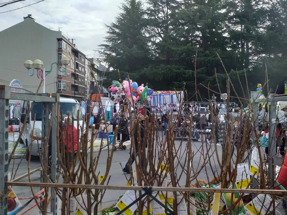 Feira SE (26)