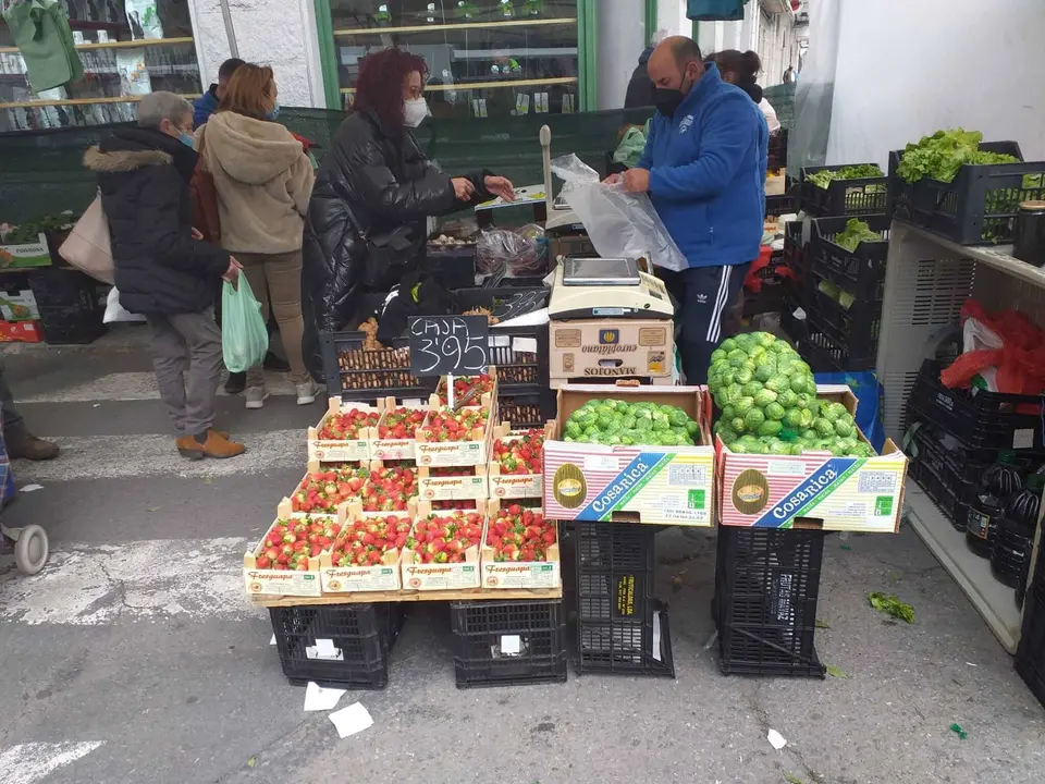 Feira SE (33)