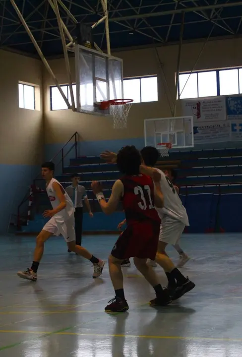 BASKET junr (3)