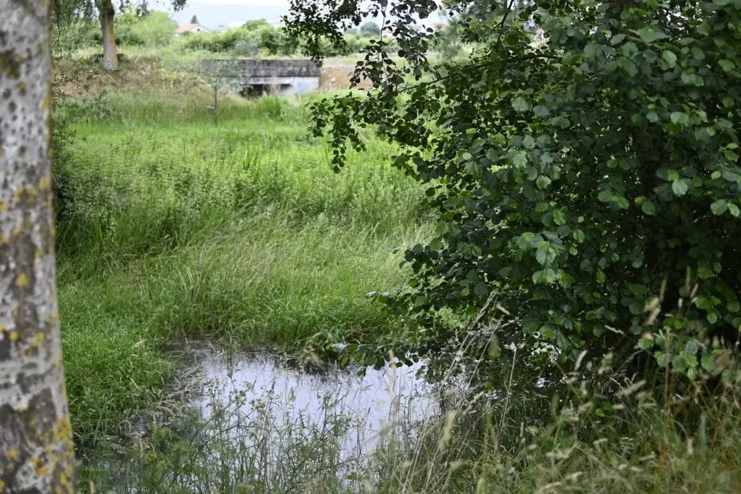paseo rio Limia en Xinzo. xu&ntilde;o 2022 (3)