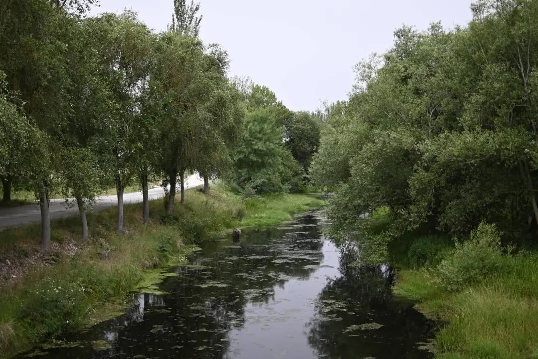 paseo rio Limia en Xinzo. xu&ntilde;o 2022 (13)