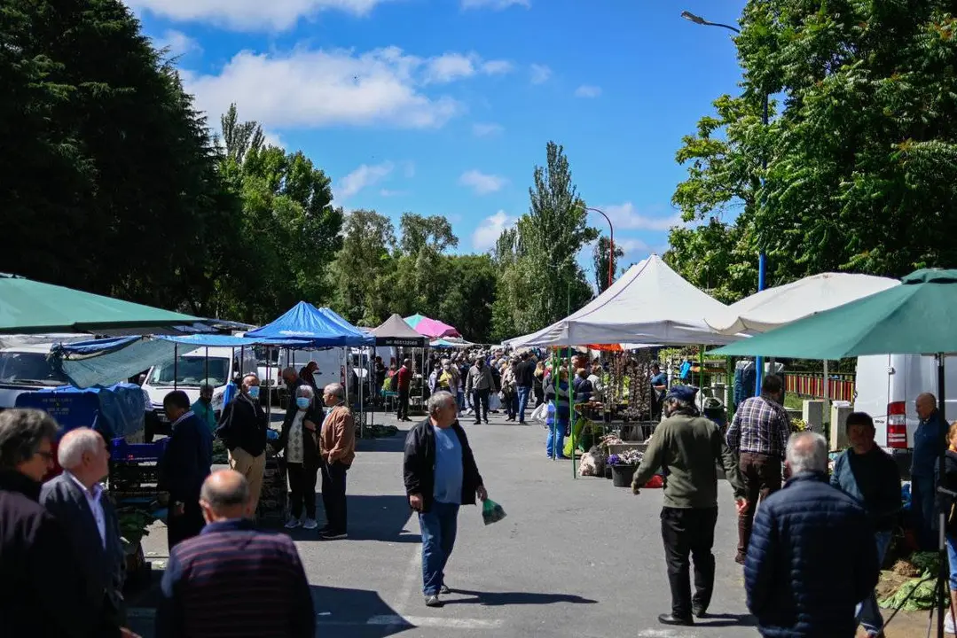 Feira 27 luns (12) (FILEminimizer)
