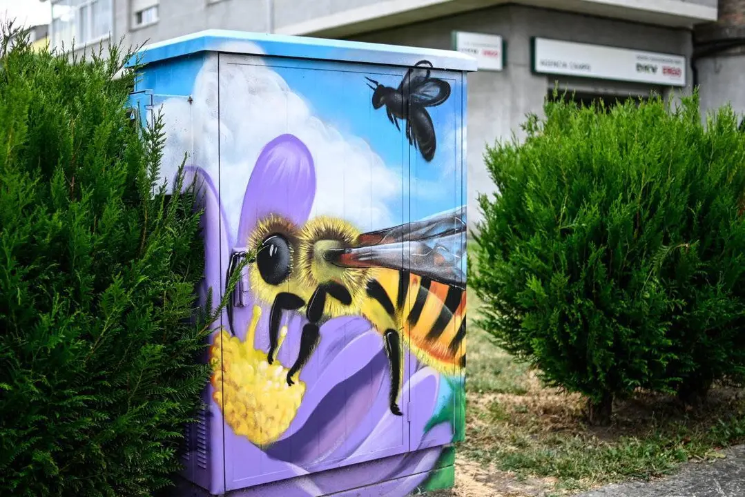 Murais. Arte urbán en Xinzo (10) (FILEminimizer)