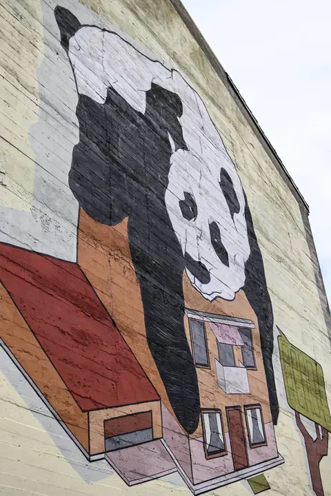 Murais. Arte urbán en Xinzo (15) (FILEminimizer)