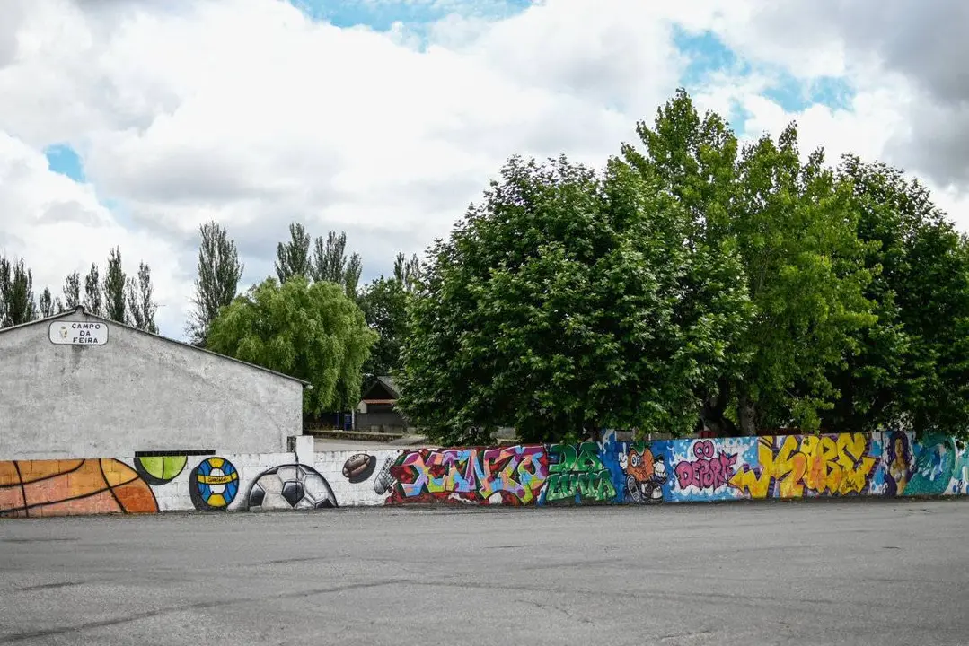 Murais. Arte urbán en Xinzo (35) (FILEminimizer)