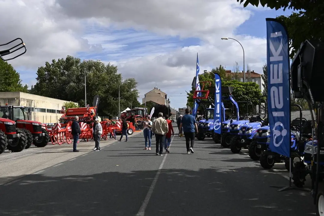 ALI 3 (4) (FILEminimizer)_Easy-Resize.com