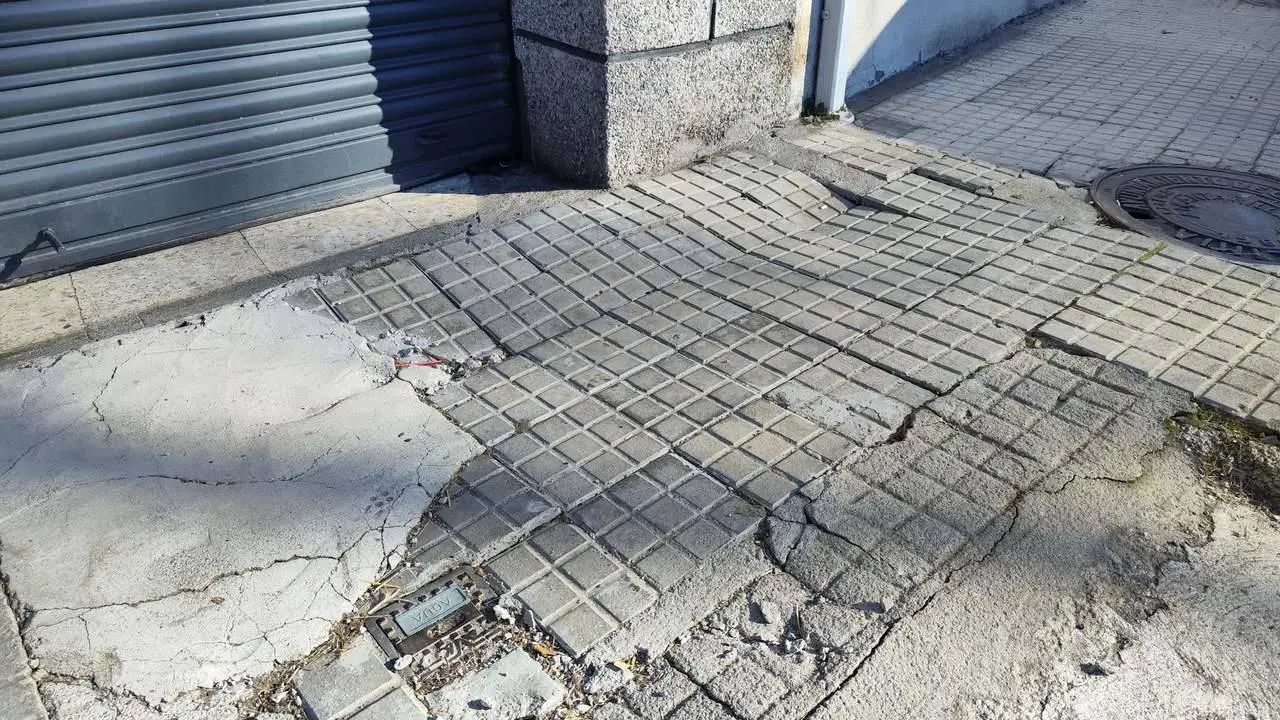WhatsApp Image 2023-02-01 at 11.33.50 (3)_Easy-Resize.com
