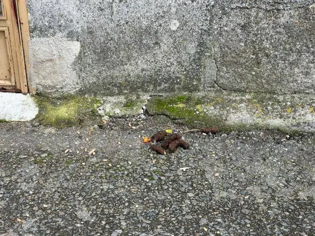 202401 vandalismo barrio de abaixo xinzo (11)