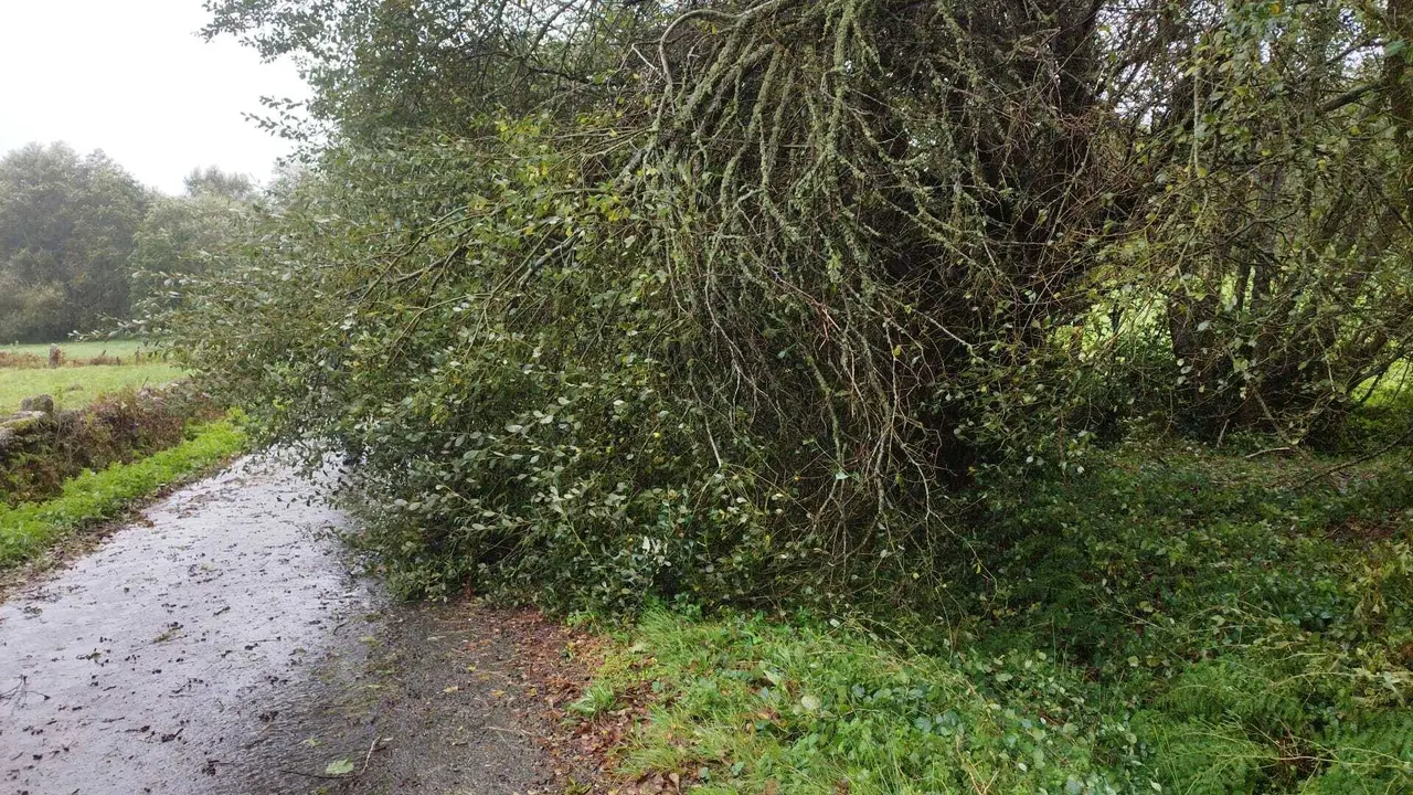 09102024 Temporal Kirk en Porqueira