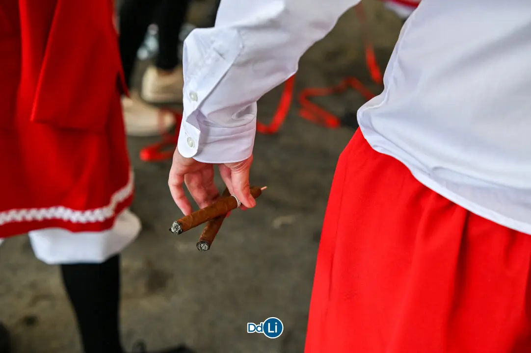 DANZANTES DE LAMAS 25-17