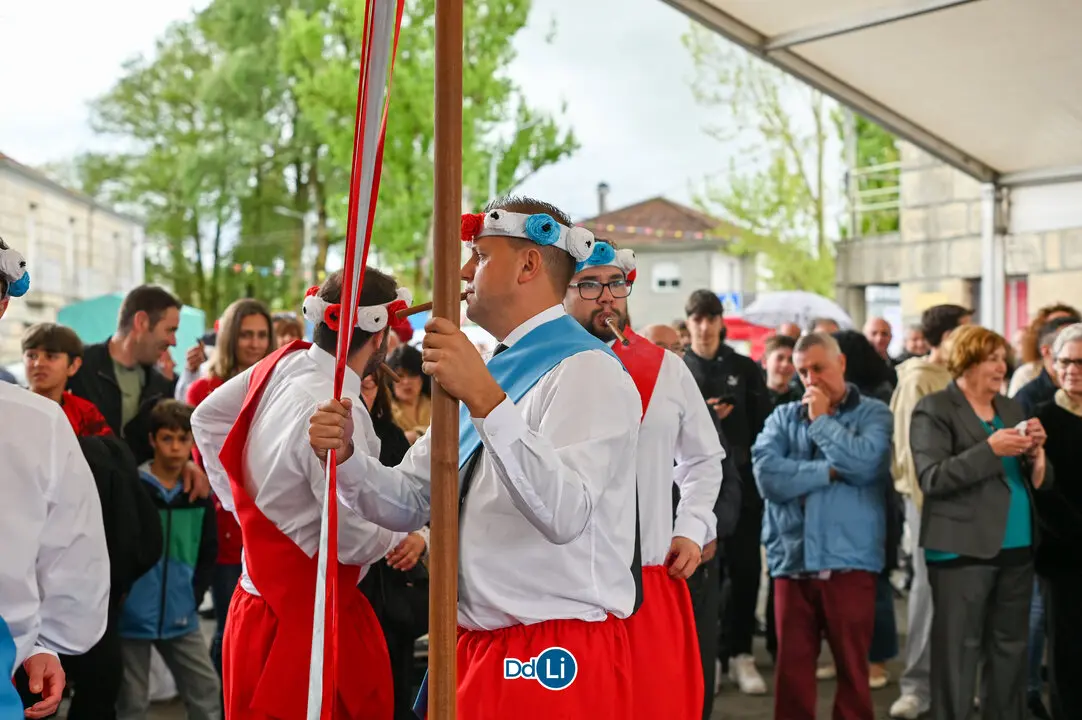 DANZANTES DE LAMAS 25-28