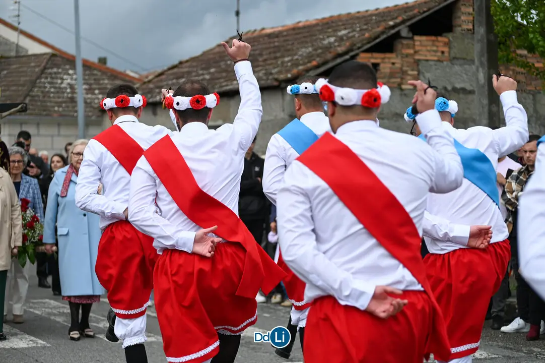 DANZANTES DE LAMAS 25-80