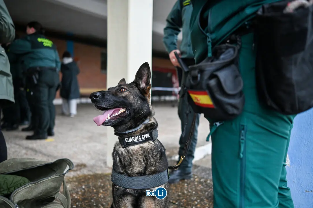 Guardia Civil-08