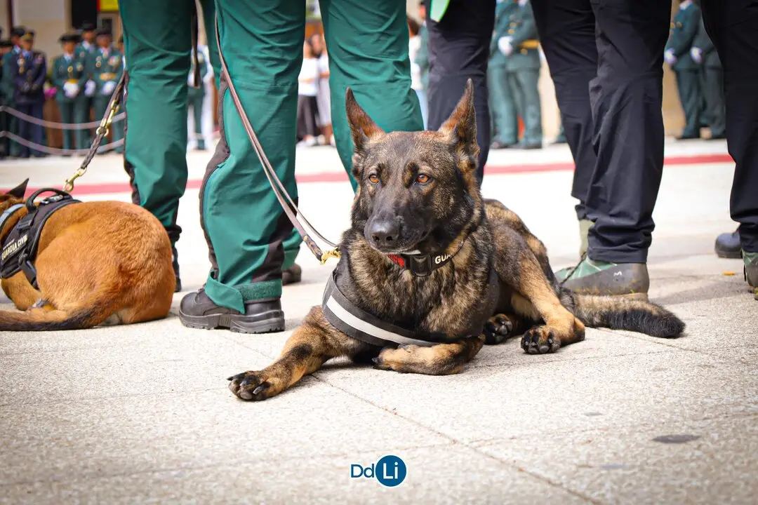 GUARDIA CIVIL_ 181 ANIVERSARIO_ddl-75