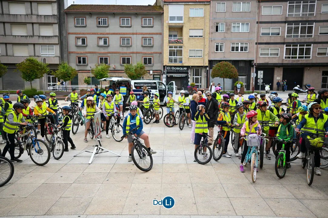 bicis xinzo-01