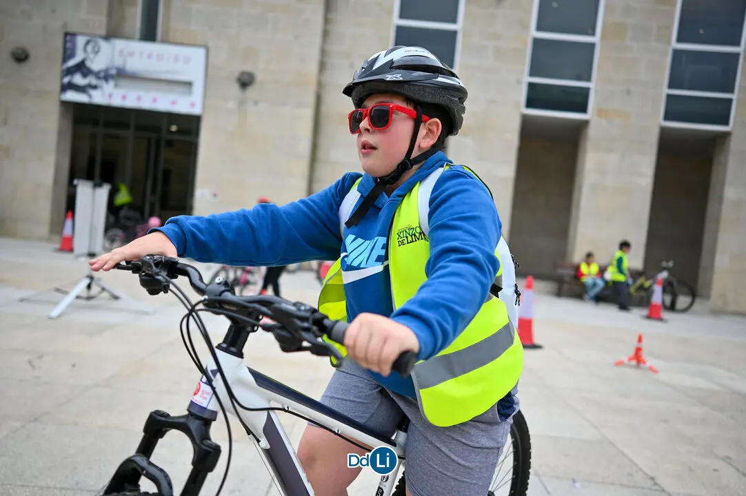 bicis xinzo-06