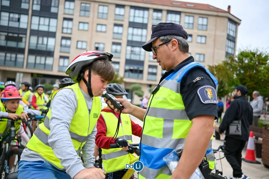 bicis xinzo-18