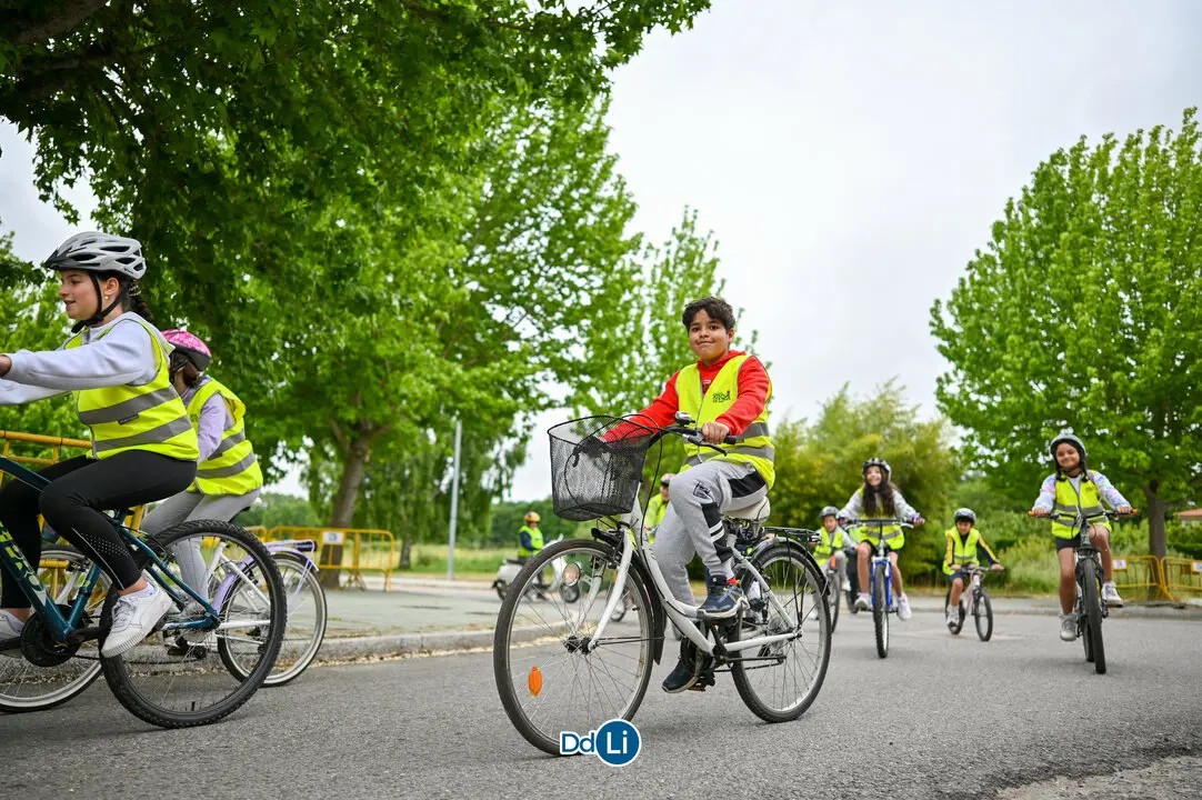 bicis xinzo-21
