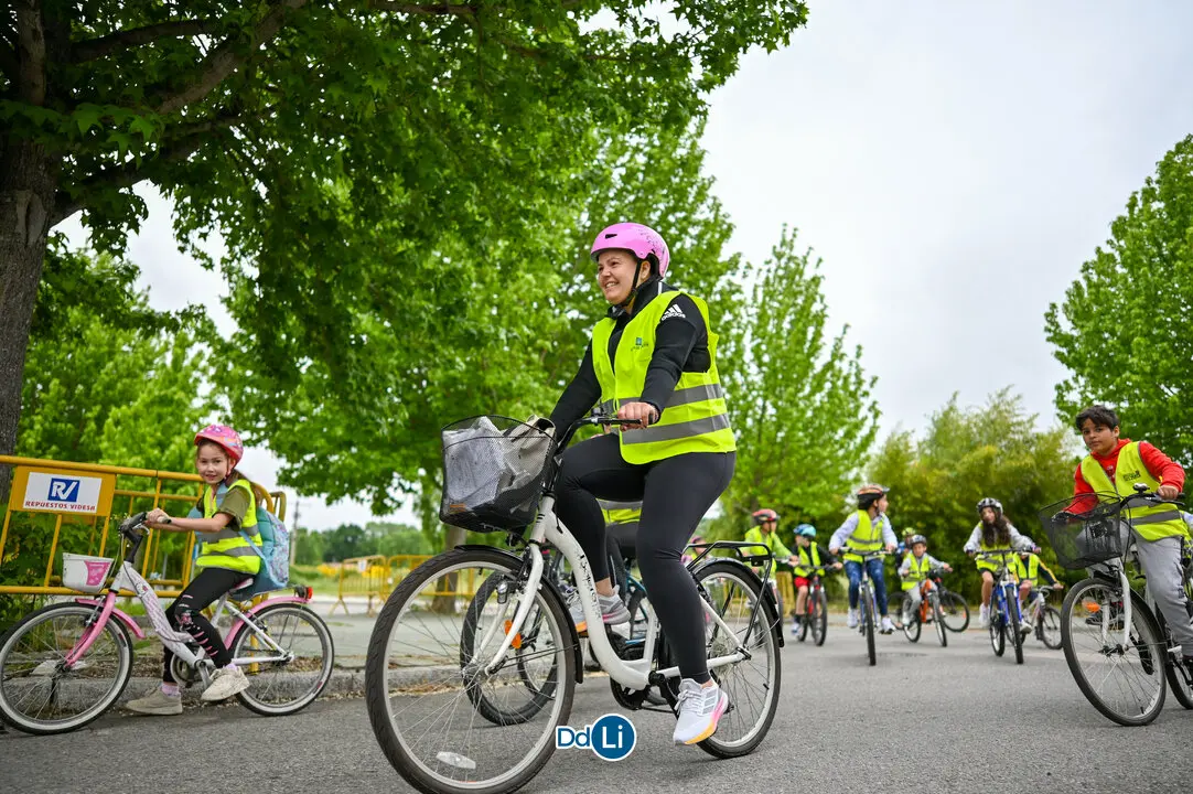 bicis xinzo-22
