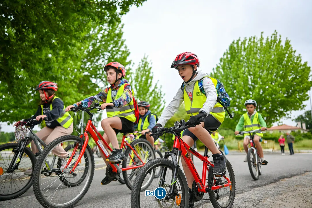bicis xinzo-24