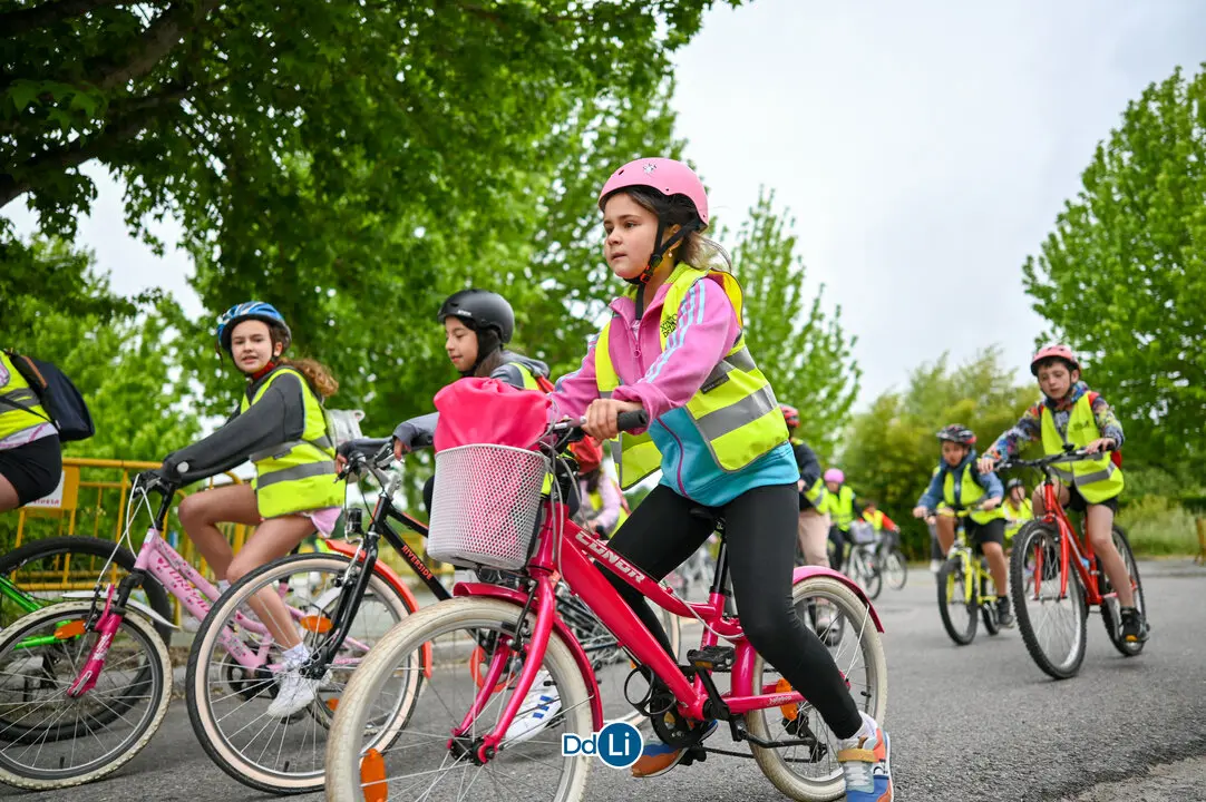 bicis xinzo-25