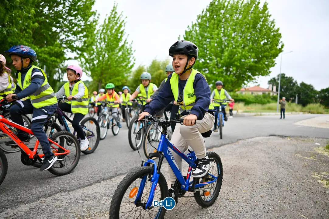 bicis xinzo-27