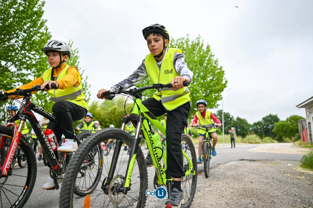 bicis xinzo-28