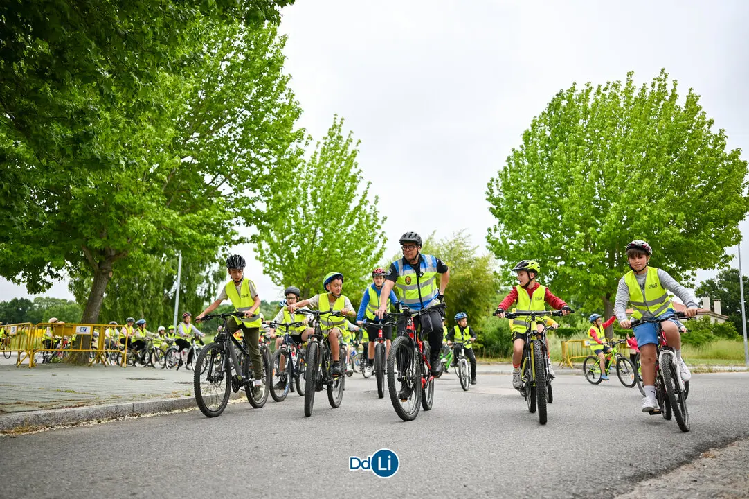 bicis xinzo-29