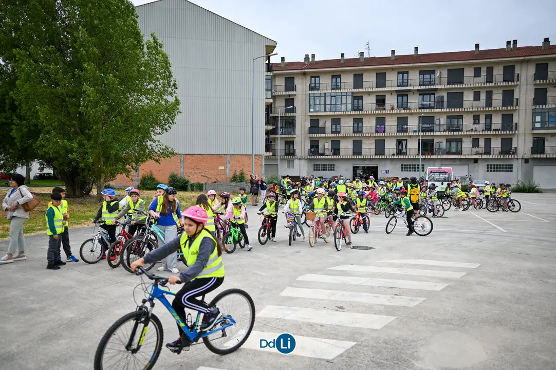 bicis xinzo-30