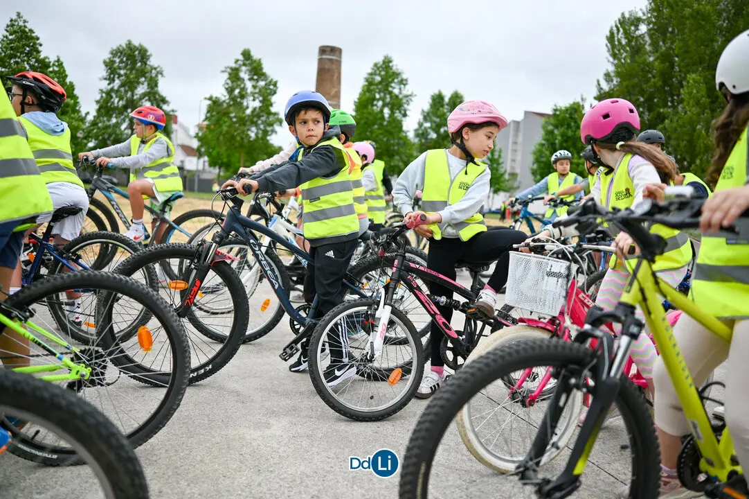 bicis xinzo-31