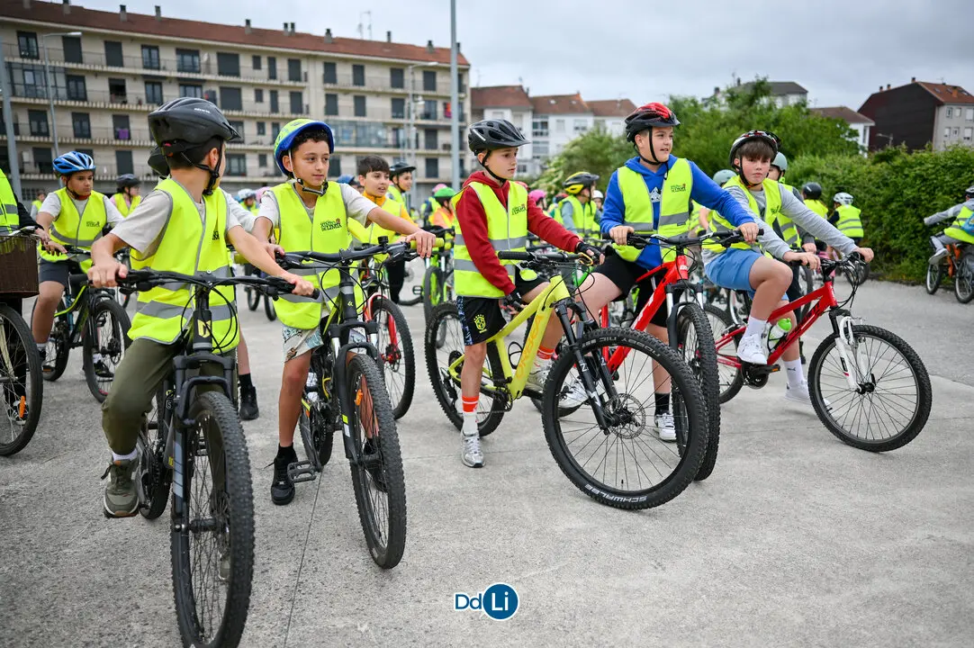 bicis xinzo-37