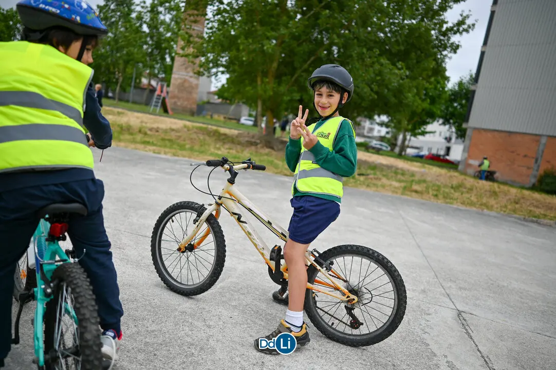 bicis xinzo-38