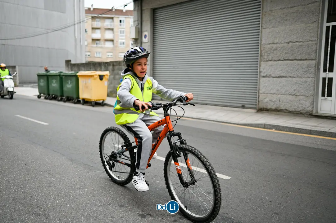 bicis xinzo-39