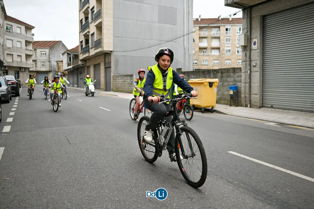 bicis xinzo-41