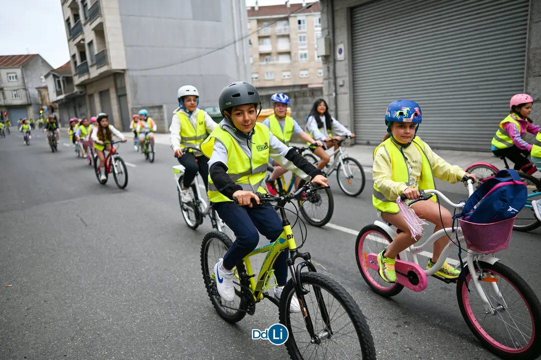 bicis xinzo-43