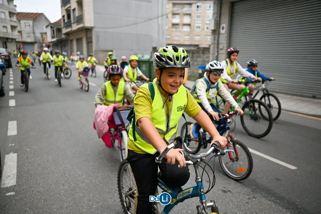 bicis xinzo-44