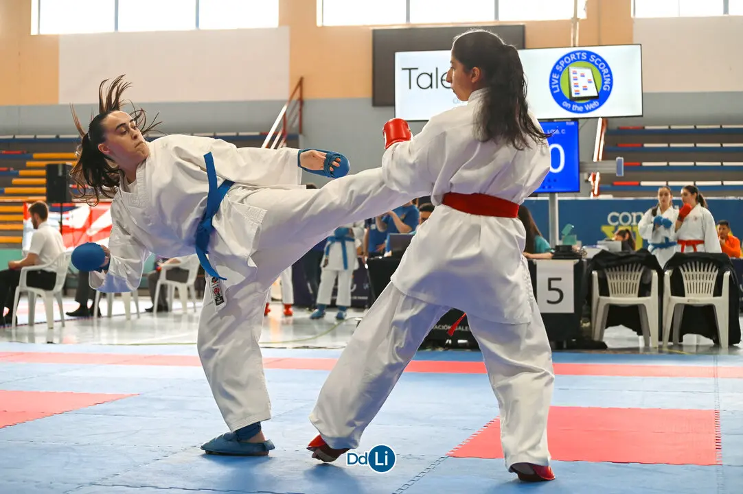 KARATE-10