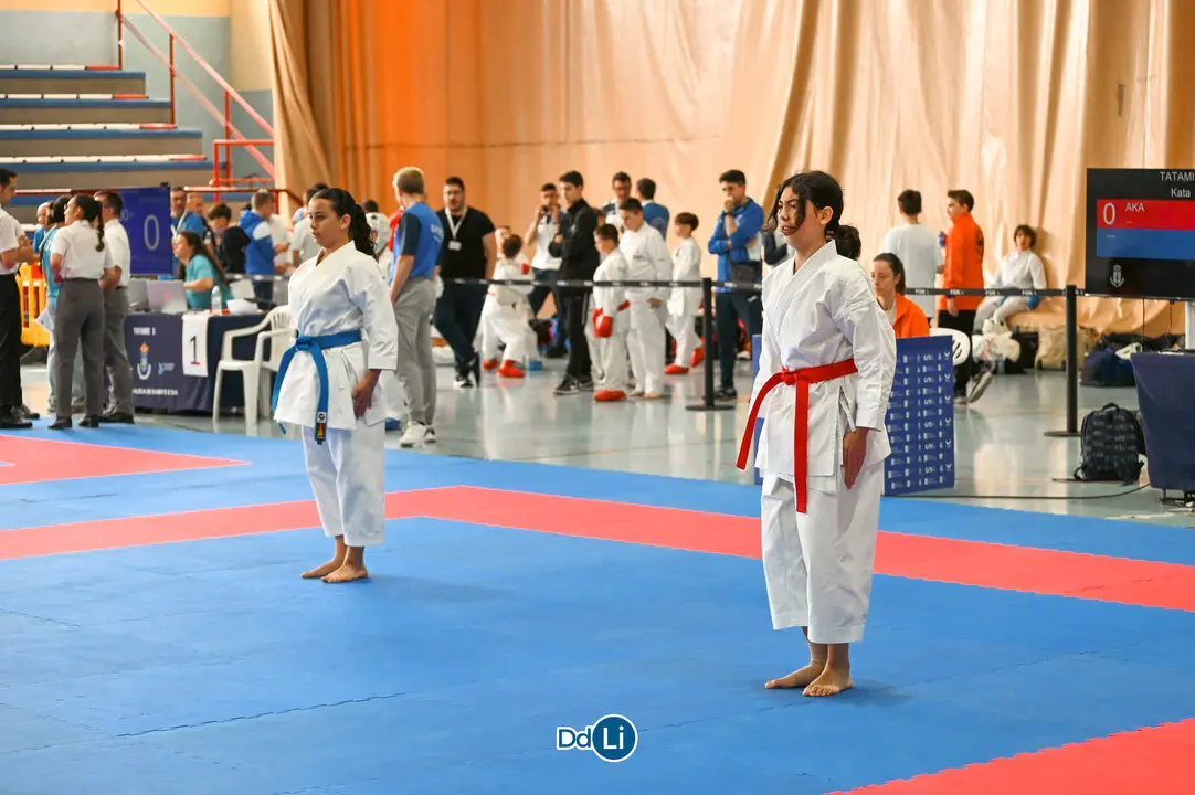 KARATE-12