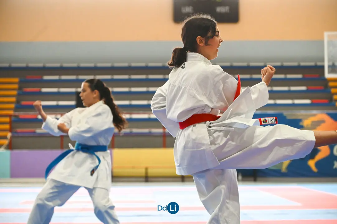 KARATE-13