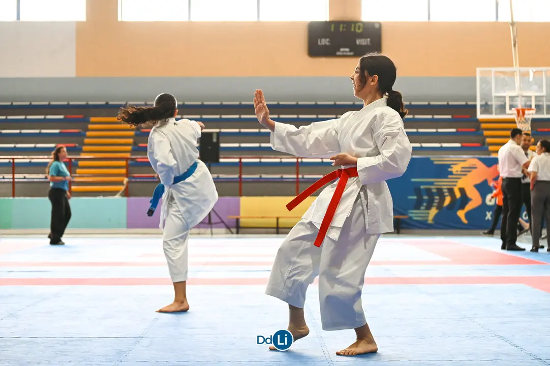 KARATE-14