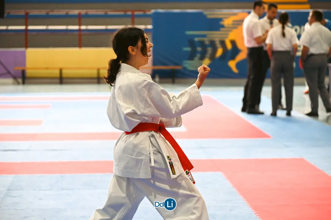 KARATE-16
