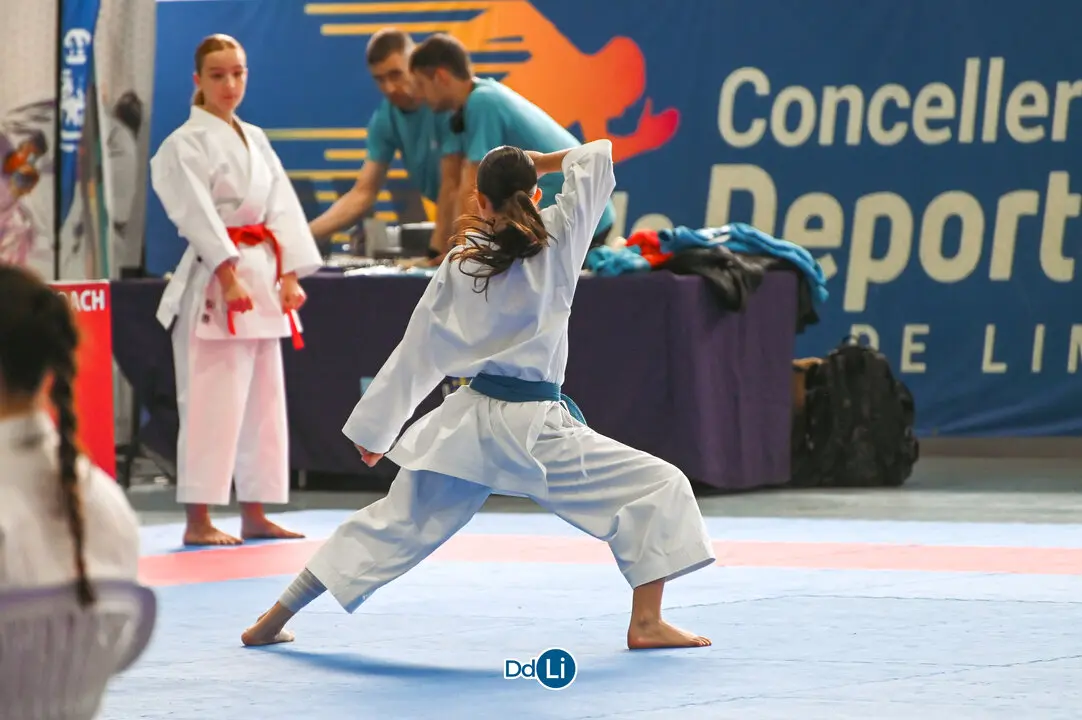 KARATE-22