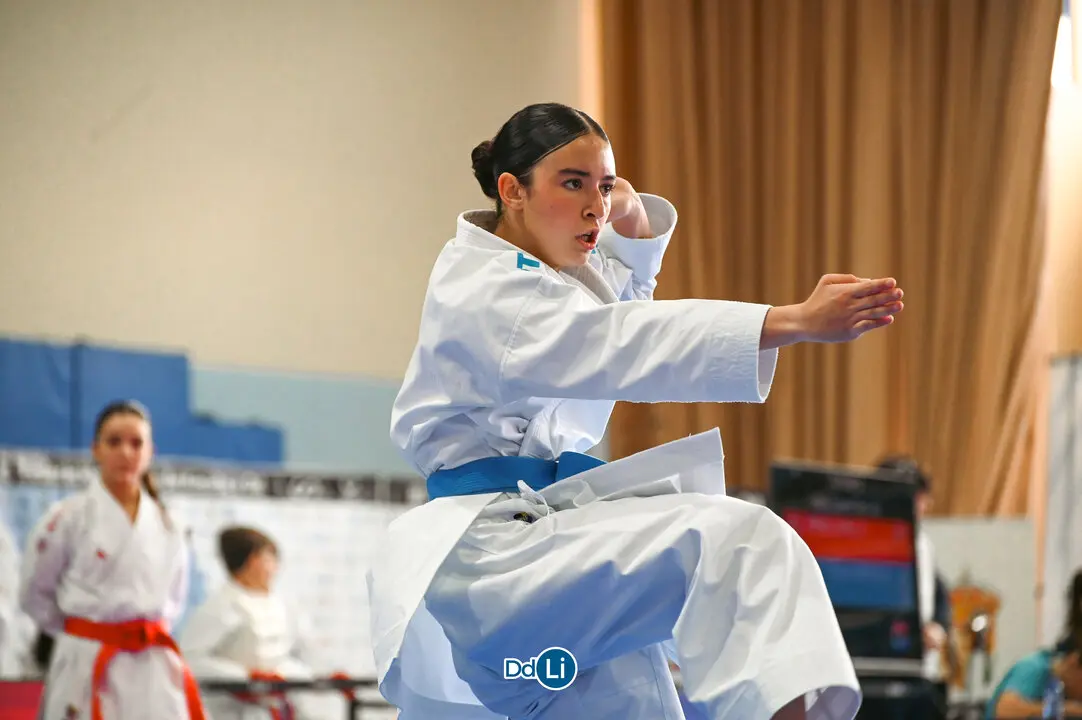 KARATE-25