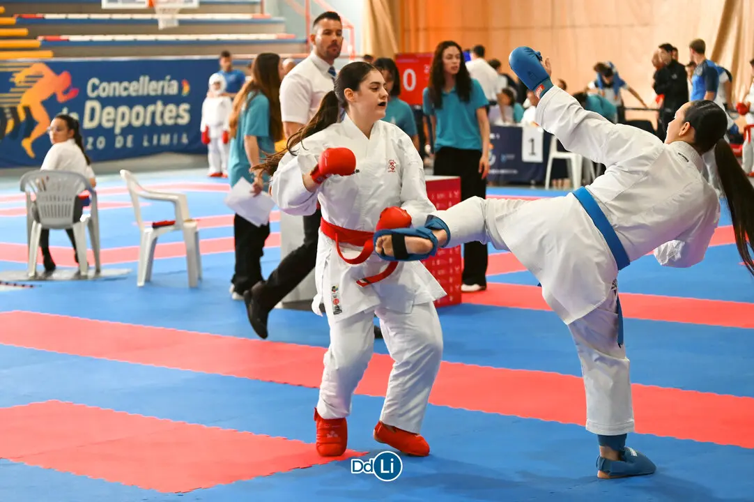 KARATE-27