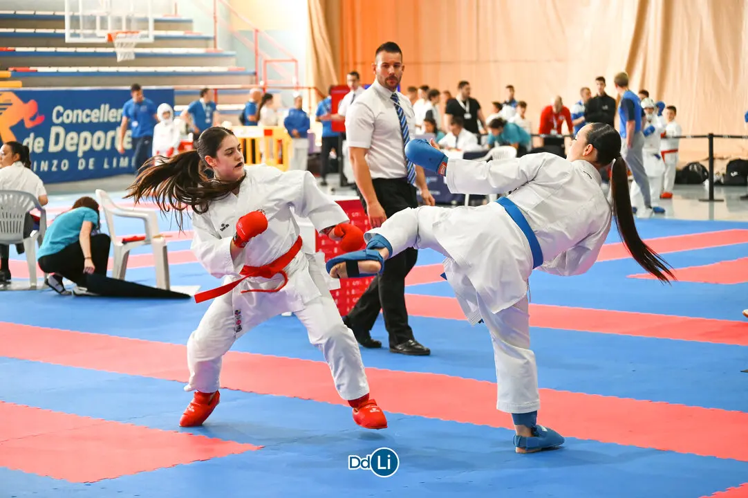 KARATE-29