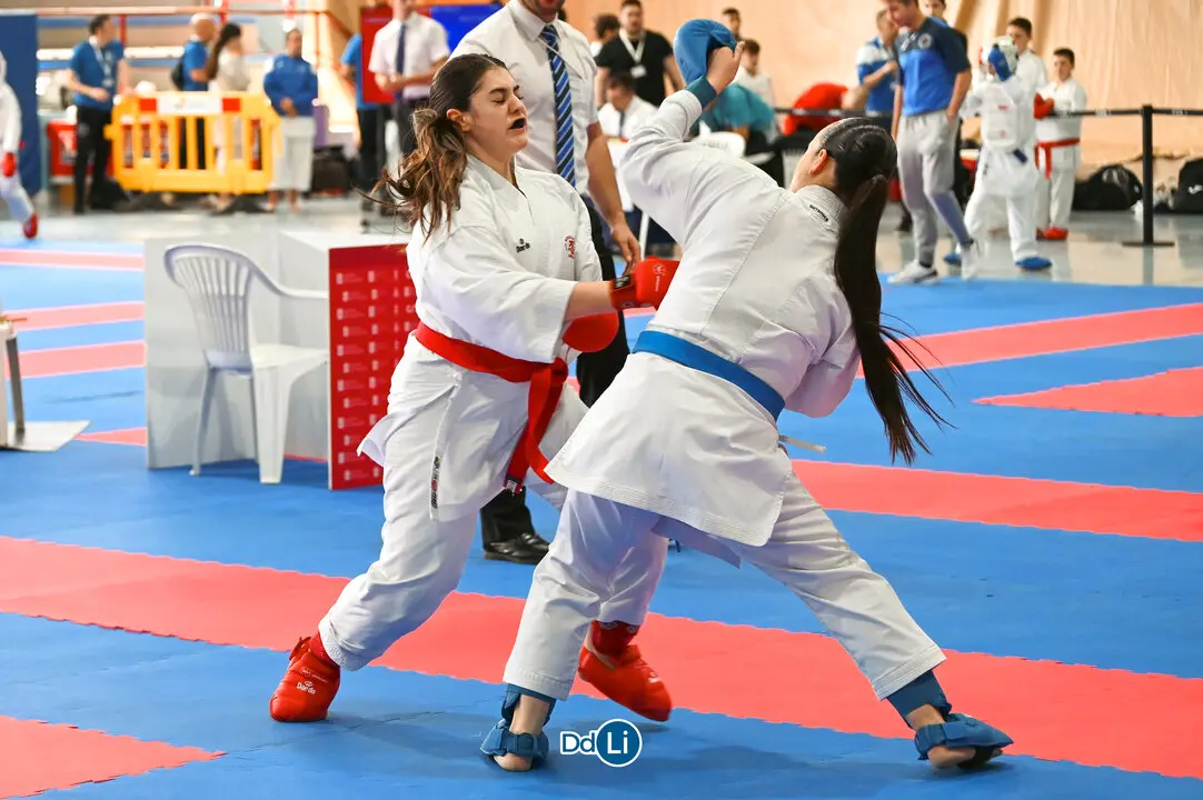 KARATE-30