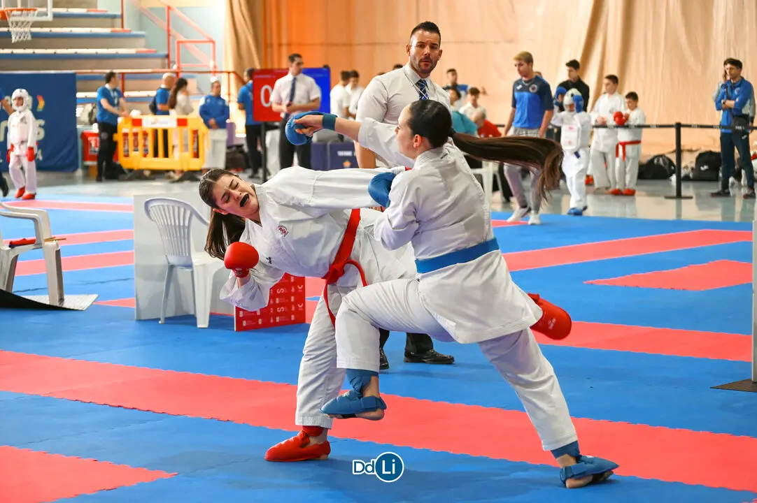 KARATE-31