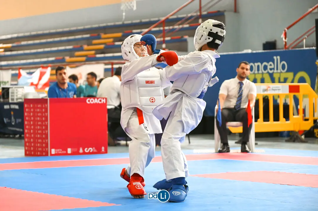 KARATE-40